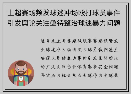 土超赛场频发球迷冲场殴打球员事件引发舆论关注亟待整治球迷暴力问题 土超赛场频发球迷冲场殴打球员事件引发舆论关注亟待整治球迷暴力问题
